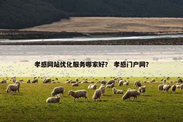 孝感网站优化服务哪家好？ 孝感门户网？