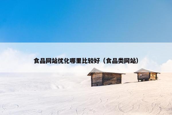 食品网站优化哪里比较好（食品类网站）