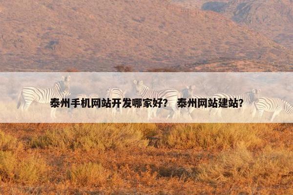 泰州手机网站开发哪家好？ 泰州网站建站？