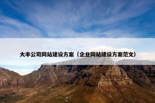 大丰公司网站建设方案（企业网站建设方案范文）