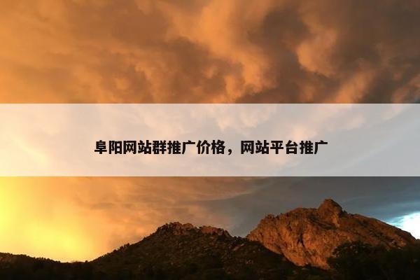 阜阳网站群推广价格，网站平台推广