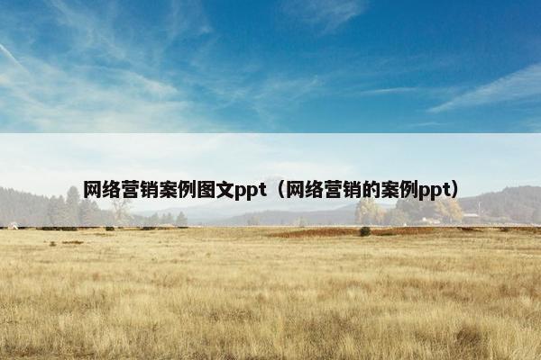 网络营销案例图文ppt（网络营销的案例ppt）