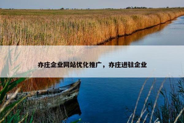 亦庄企业网站优化推广，亦庄进驻企业