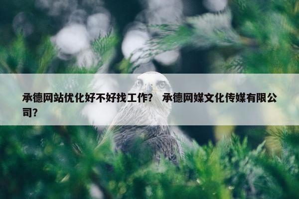 承德网站优化好不好找工作？ 承德网媒文化传媒有限公司？