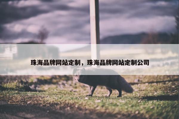 珠海品牌网站定制，珠海品牌网站定制公司