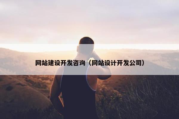 网站建设开发咨询（网站设计开发公司）