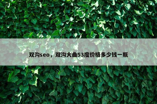双沟seo，双沟大曲53度价格多少钱一瓶