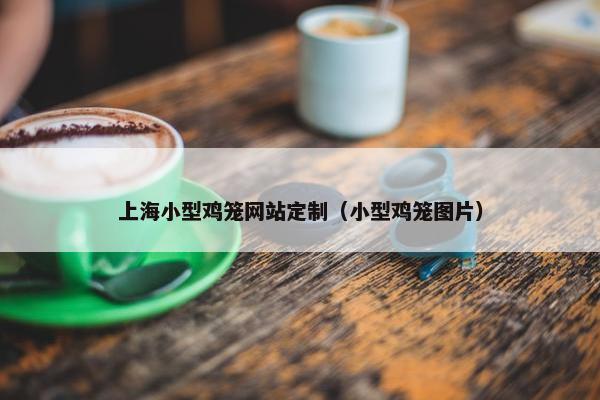 上海小型鸡笼网站定制（小型鸡笼图片）