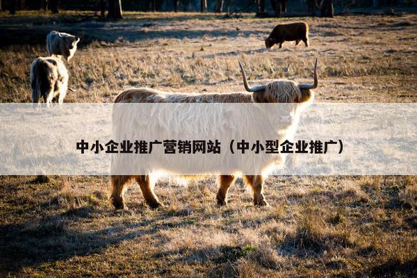 中小企业推广营销网站（中小型企业推广）