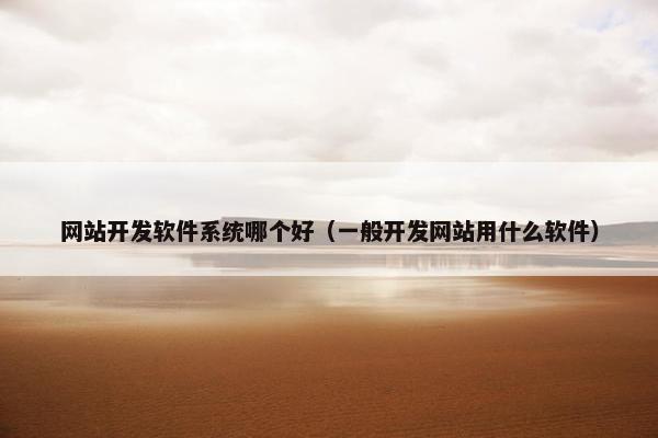 网站开发软件系统哪个好（一般开发网站用什么软件）