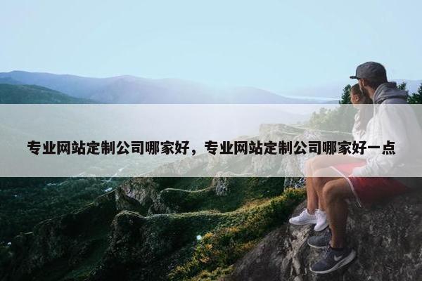 专业网站定制公司哪家好，专业网站定制公司哪家好一点