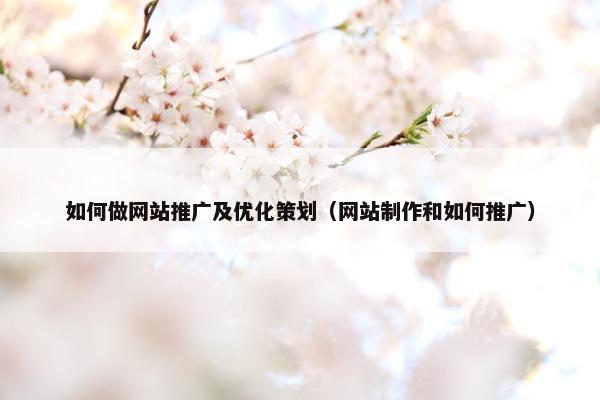 如何做网站推广及优化策划（网站制作和如何推广）