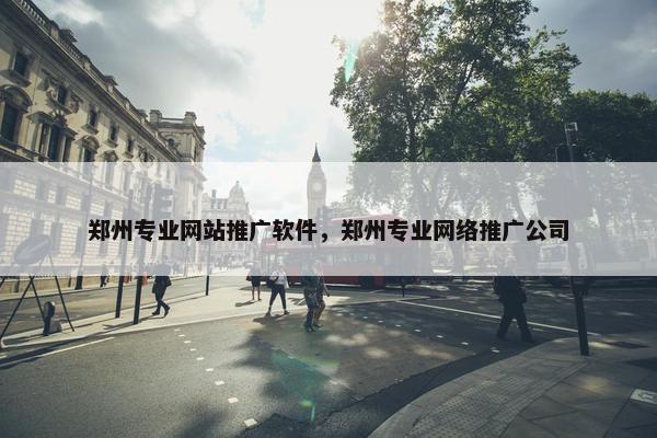 郑州专业网站推广软件，郑州专业网络推广公司