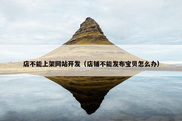 店不能上架网站开发（店铺不能发布宝贝怎么办）