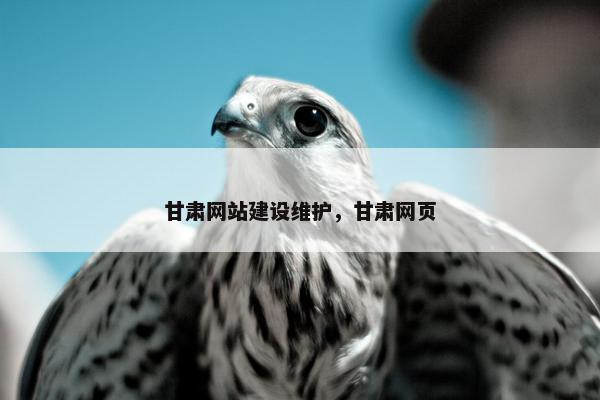 甘肃网站建设维护，甘肃网页