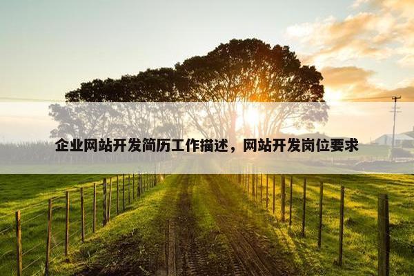 企业网站开发简历工作描述，网站开发岗位要求