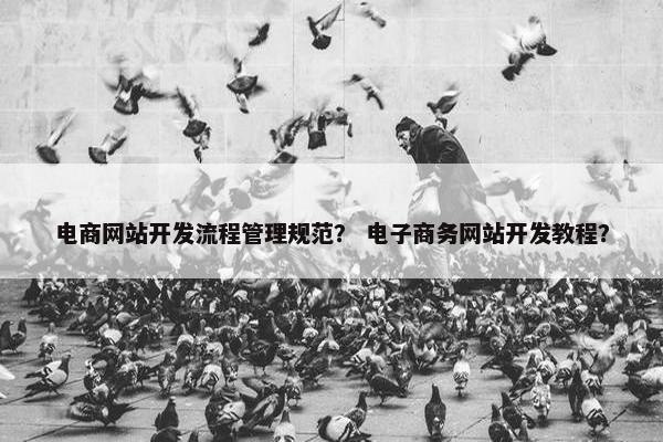 电商网站开发流程管理规范？ 电子商务网站开发教程？