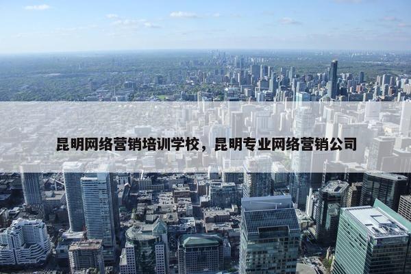 昆明网络营销培训学校，昆明专业网络营销公司
