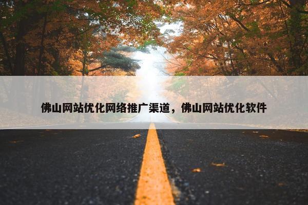 佛山网站优化网络推广渠道，佛山网站优化软件