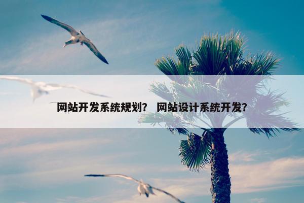 网站开发系统规划？ 网站设计系统开发？