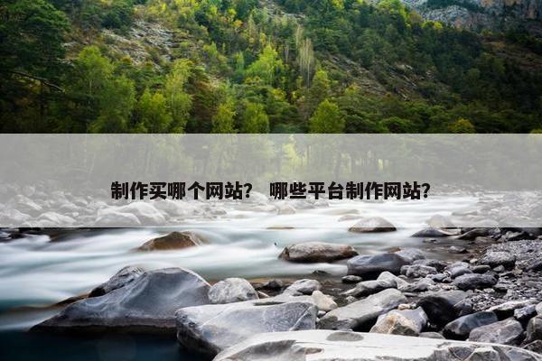 制作买哪个网站？ 哪些平台制作网站？