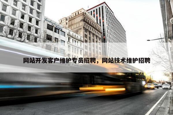 网站开发客户维护专员招聘，网站技术维护招聘