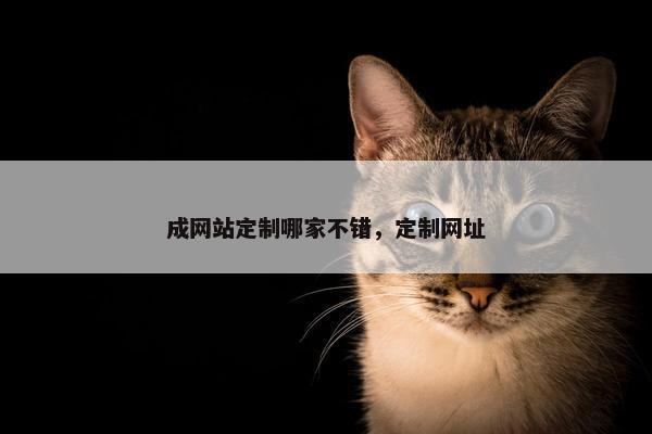 成网站定制哪家不错，定制网址