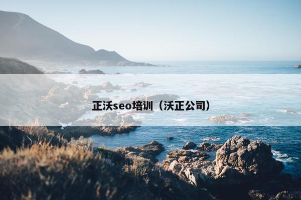 正沃seo培训（沃正公司）