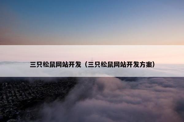 三只松鼠网站开发（三只松鼠网站开发方案）