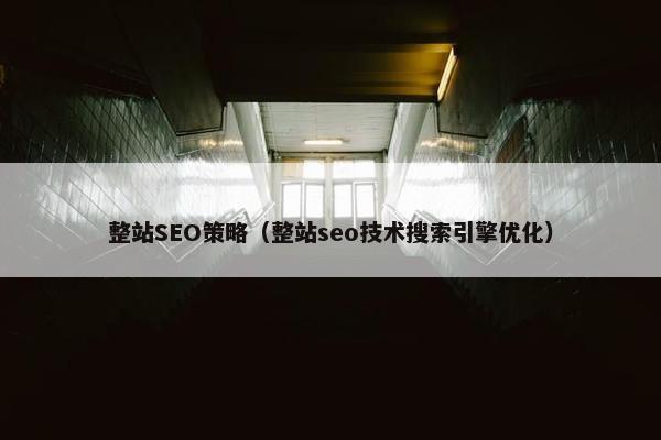 整站SEO策略（整站seo技术搜索引擎优化）