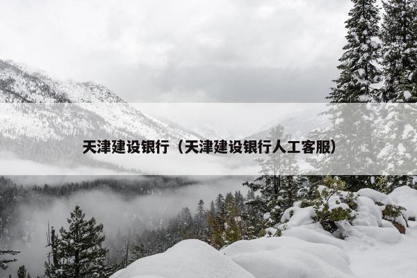 天津建设银行（天津建设银行人工客服）