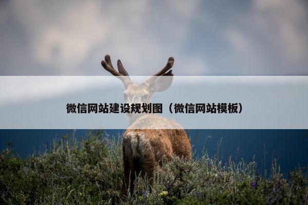 微信网站建设规划图（微信网站模板）