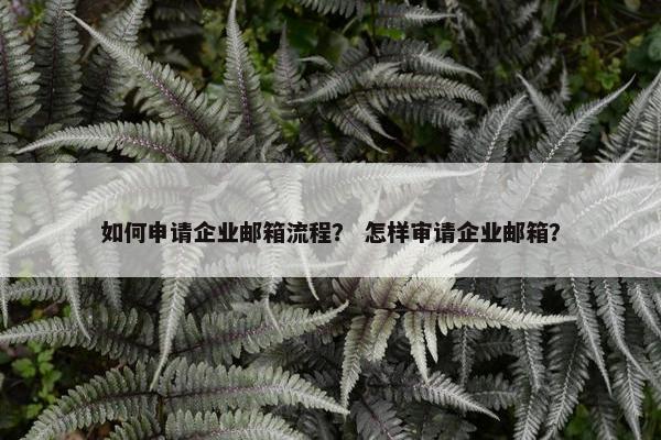 如何申请企业邮箱流程？ 怎样审请企业邮箱？