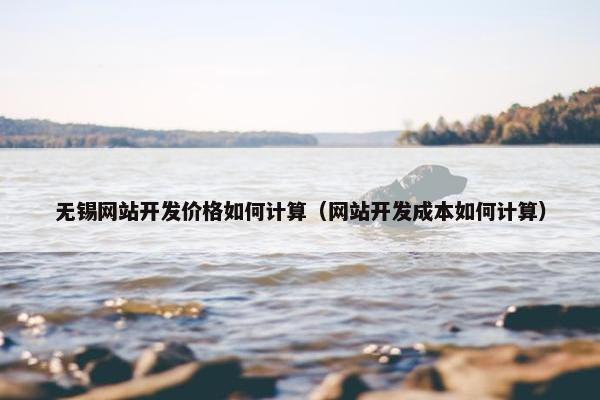 无锡网站开发价格如何计算（网站开发成本如何计算）