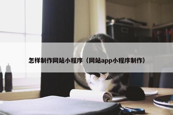 怎样制作网站小程序（网站app小程序制作）