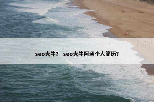 seo大牛？ seo大牛阿汤个人简历？