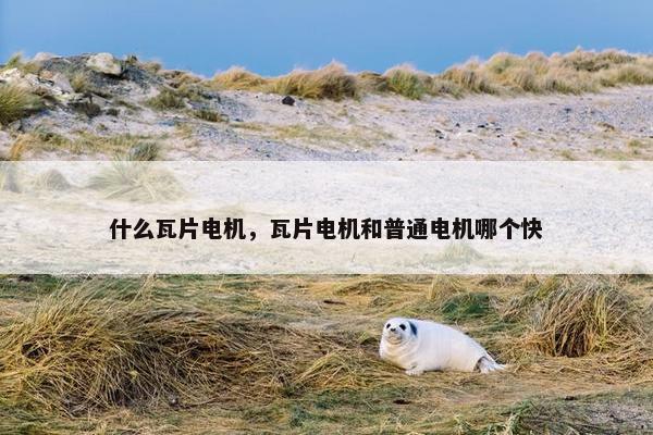 什么瓦片电机，瓦片电机和普通电机哪个快