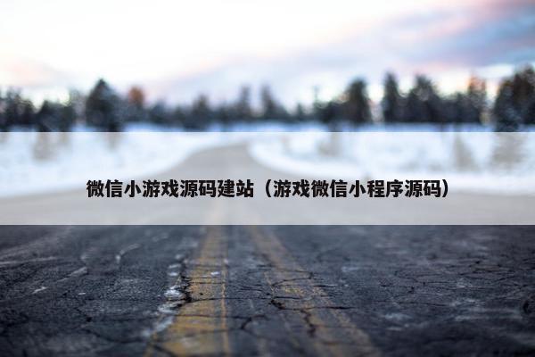 微信小游戏源码建站（游戏微信小程序源码）