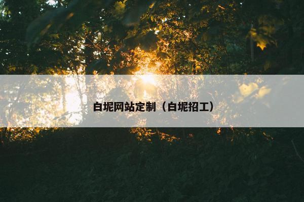 白坭网站定制（白坭招工）
