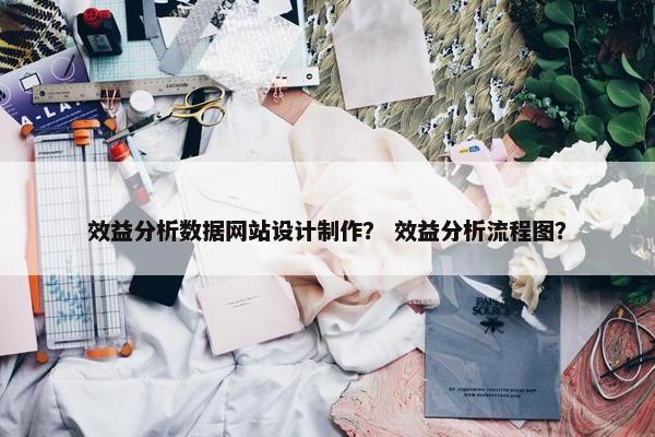 效益分析数据网站设计制作？ 效益分析流程图？