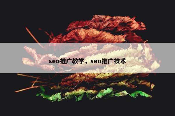 seo推广教学，seo推广技术