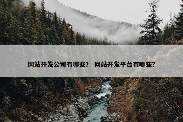 网站开发公司有哪些？ 网站开发平台有哪些？