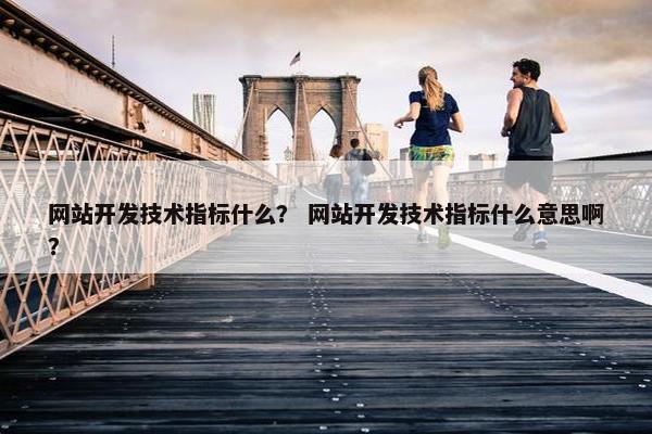 网站开发技术指标什么？ 网站开发技术指标什么意思啊？