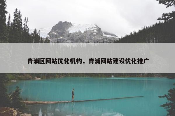 青浦区网站优化机构，青浦网站建设优化推广