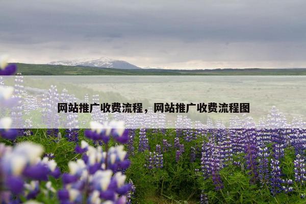 网站推广收费流程，网站推广收费流程图