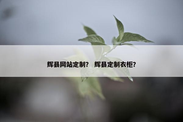 辉县网站定制？ 辉县定制衣柜？