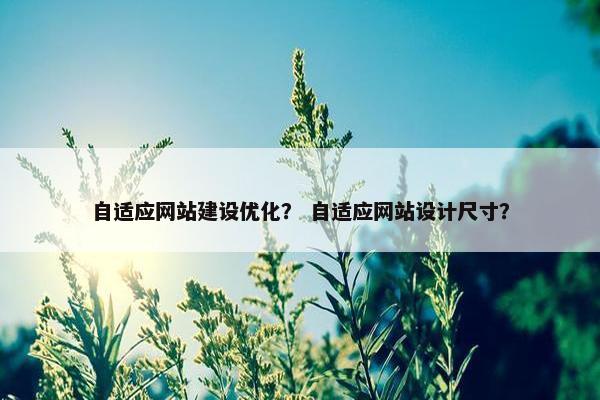 自适应网站建设优化？ 自适应网站设计尺寸？