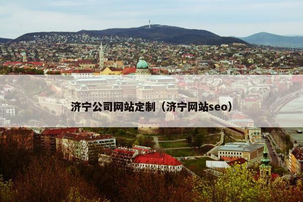 济宁公司网站定制（济宁网站seo）