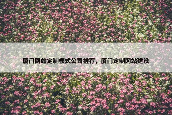 厦门网站定制模式公司推荐，厦门定制网站建设