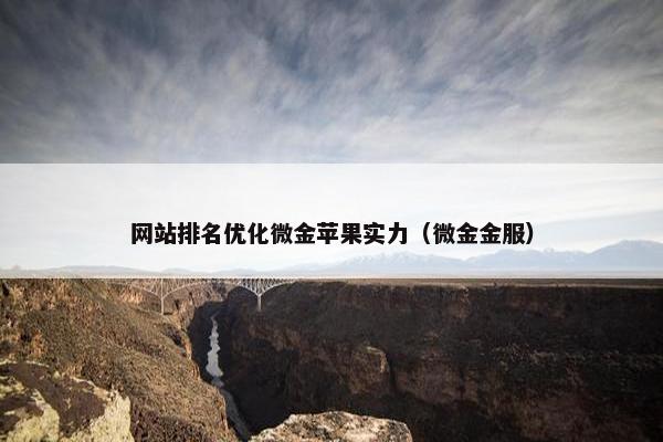 网站排名优化微金苹果实力（微金金服）